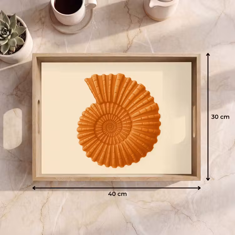 Tray - Shell - Orange - Ribbed — 8