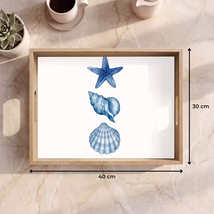 Tray - Starfish - Shells - Blue — 8