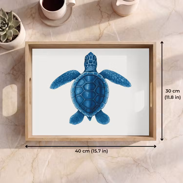 Tray - Turtle - Blue - Shield — 7