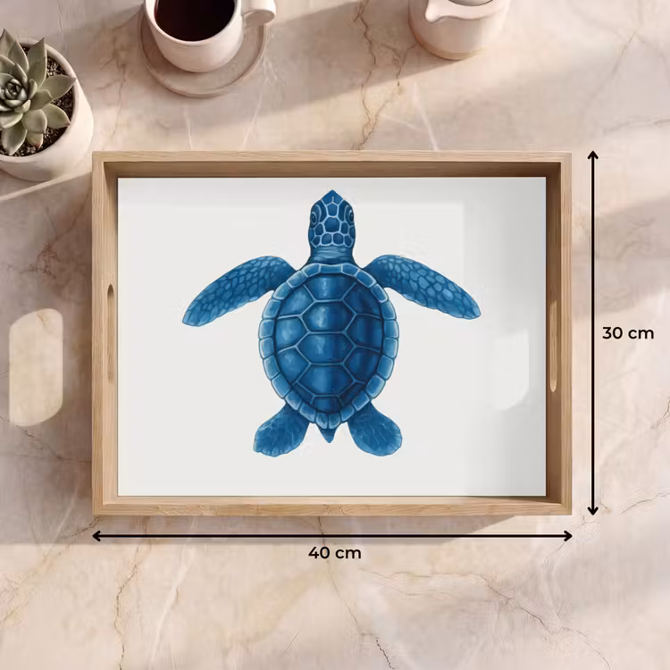 Tray - Turtle - Blue - Shield — 8
