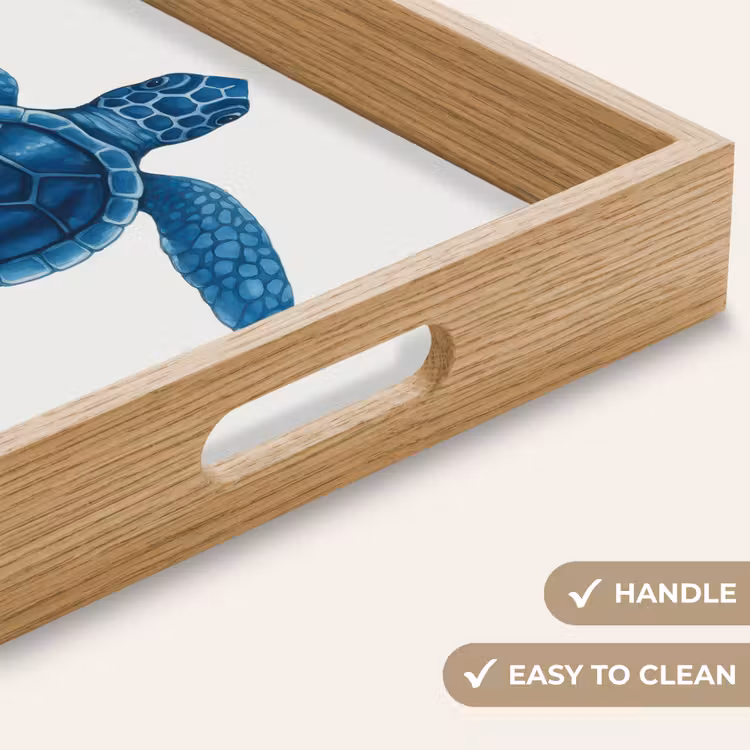Tray - Turtle - Blue - Shield — 9