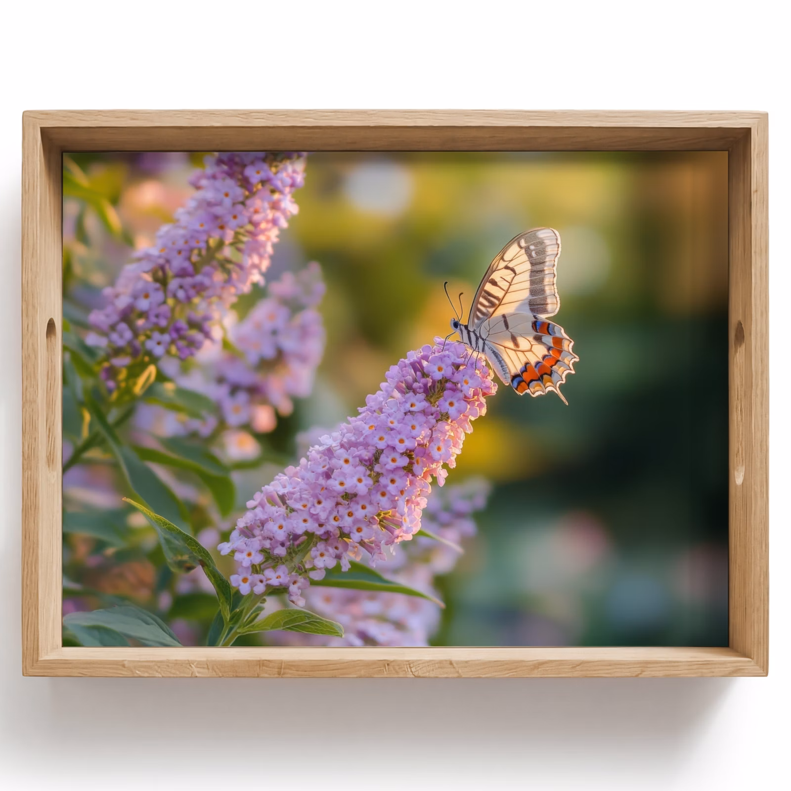 Tray - Ornate - Butterfly - Purple - Flowers — 1