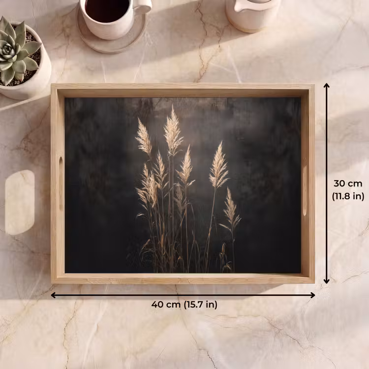 Tray - Ornamental grass - Plumes - Lighting - Black — 7