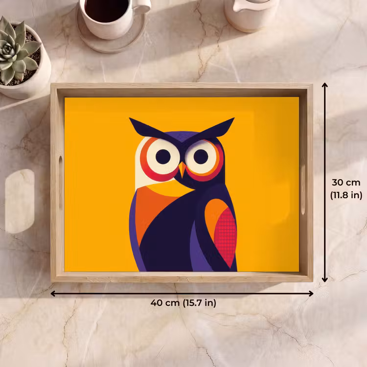 Tray - Owl - Graphic - Colorful - Eyes — 7