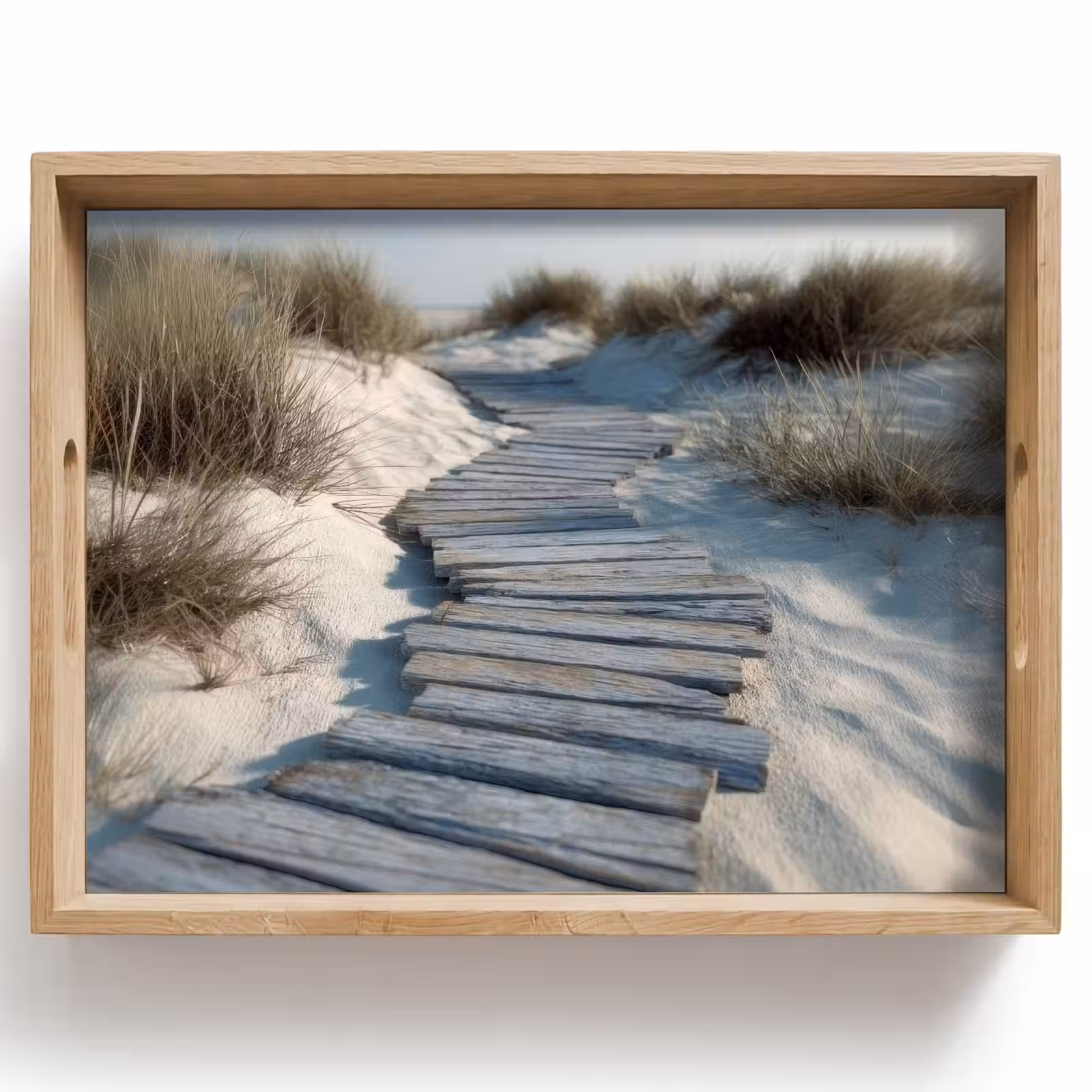 Tray - Path - Shelves - Dunes - Grass — 1