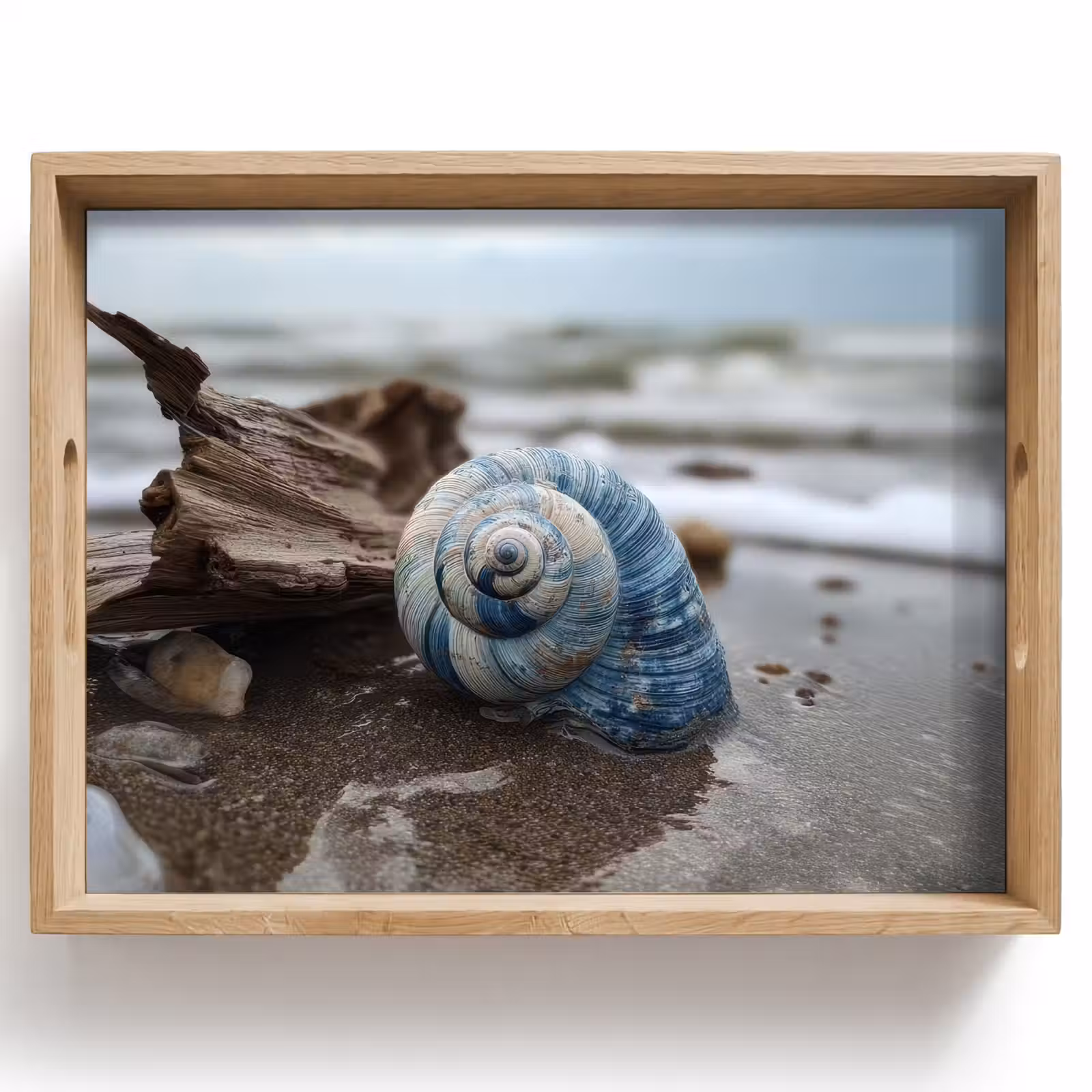 Tray - Shell - Beach - Blue - Sea — 1