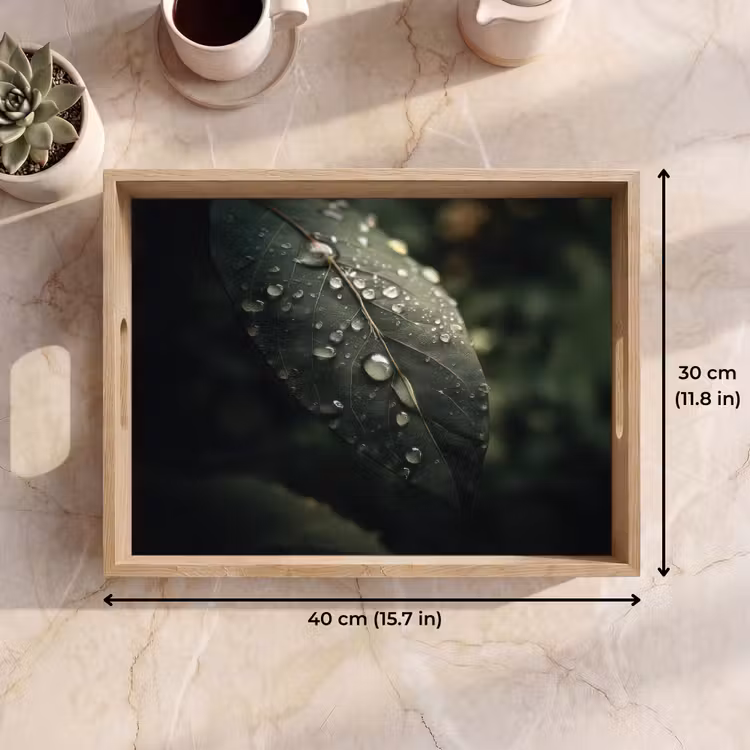 Tray - Leaf - Green - Veins - Raindrops — 7