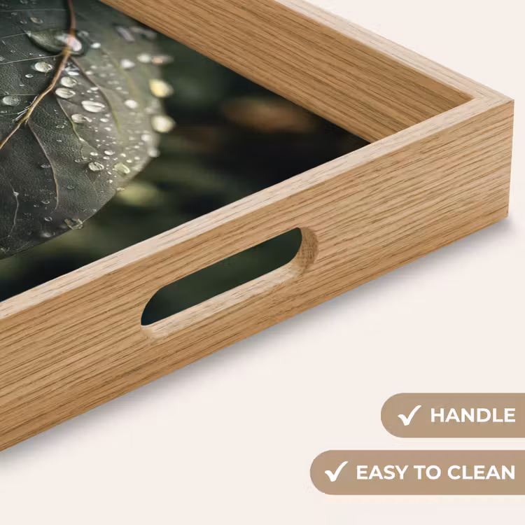 Tray - Leaf - Green - Veins - Raindrops — 9