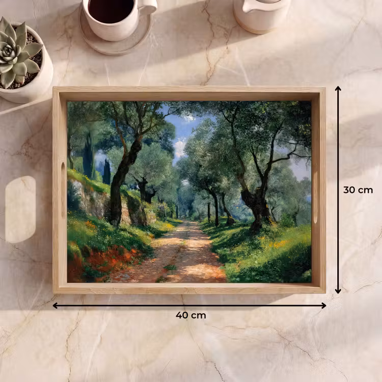 Tray - Path - Trees - Shade - — 8