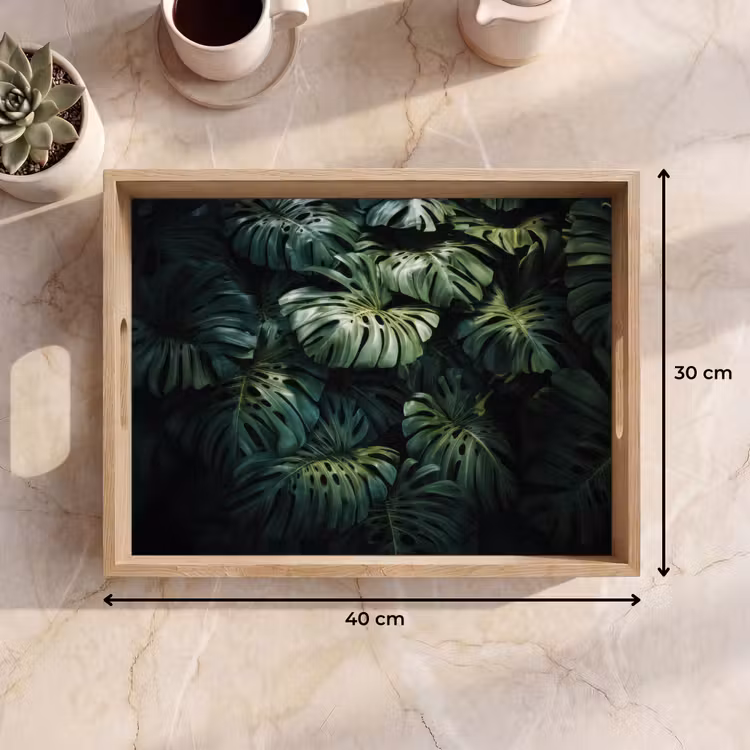 Tray - Plant - Monstera - Lighting — 8