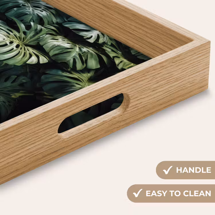 Tray - Plant - Monstera - Lighting — 9