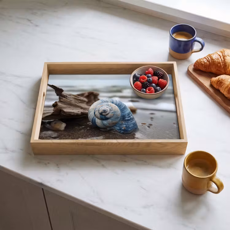 Tray - Shell - Beach - Blue - Sea — 3