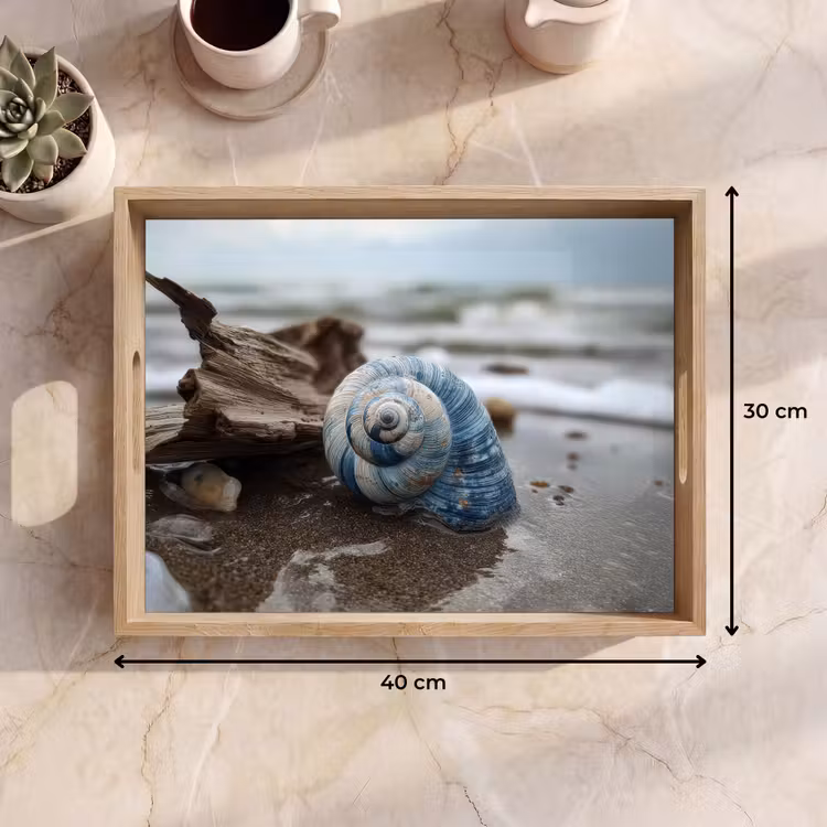 Tray - Shell - Beach - Blue - Sea — 8