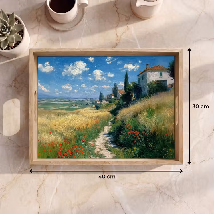 Tray - Sidewalk - House - Trees - Lawn — 8