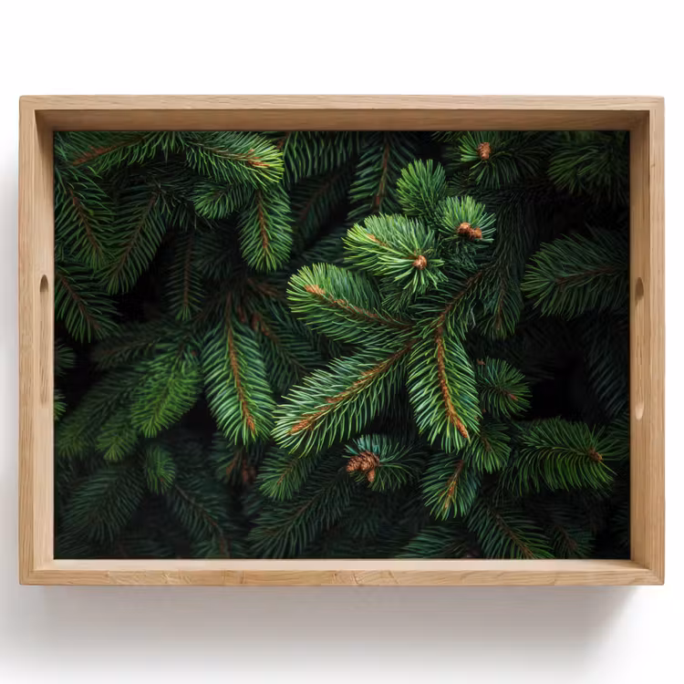 Tray - Spruce branches - Buds - Needles - Green — 1