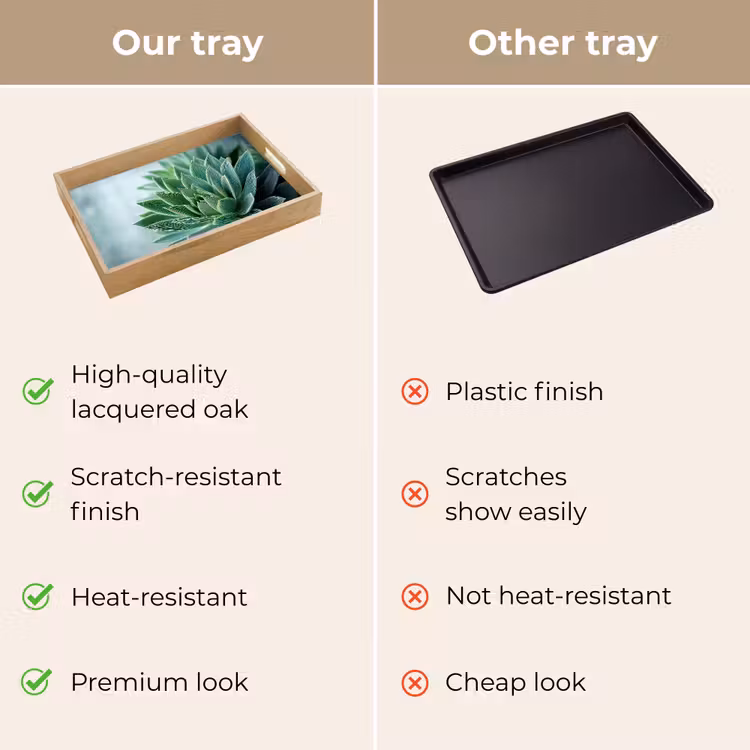 Tray - Succulent - Leaves - Green - Blurred — 10