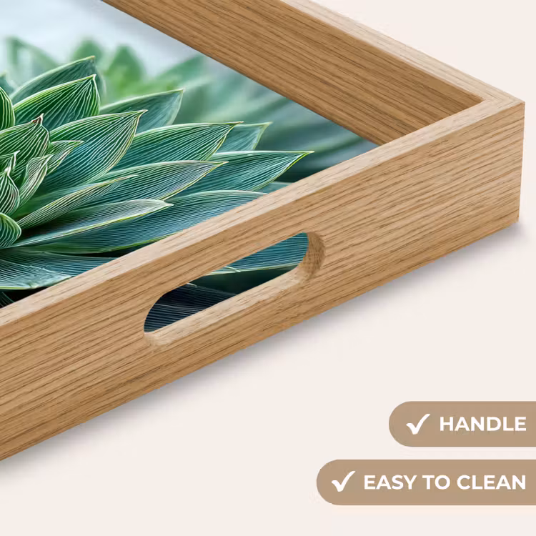 Tray - Succulent - Leaves - Green - Blurred — 9