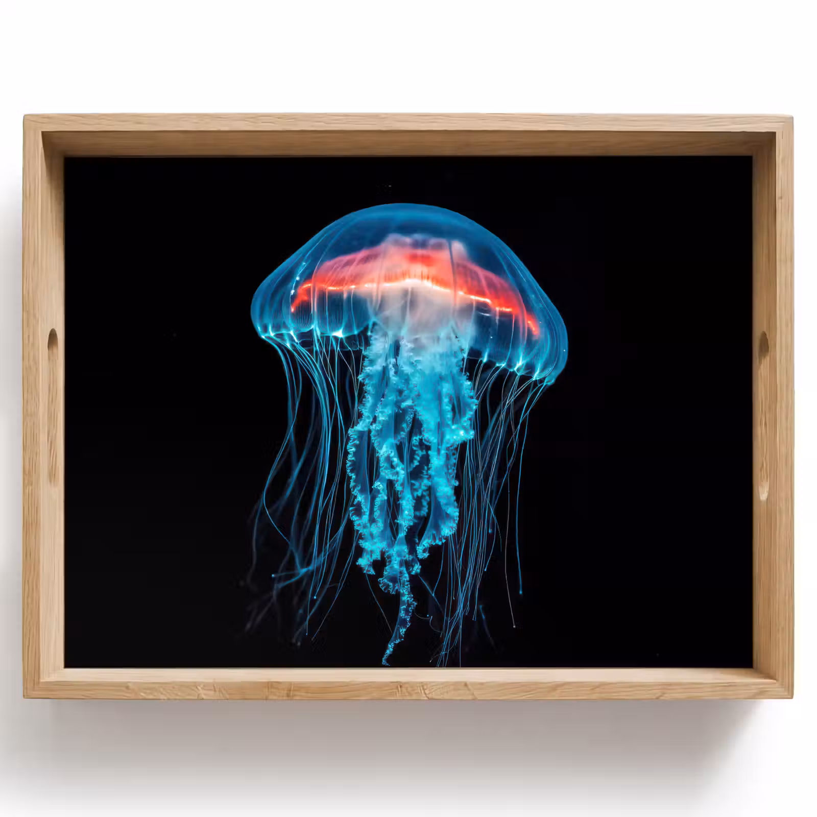 Tray - Jellyfish - Tentacles - Blue - Light — 1