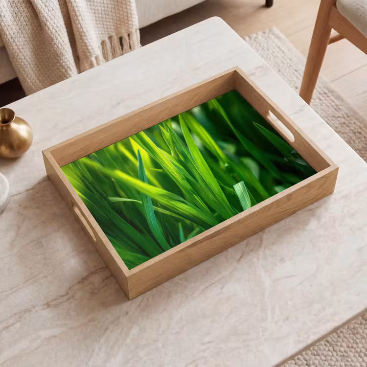 Tray - Grass blades - Light - Green — 2
