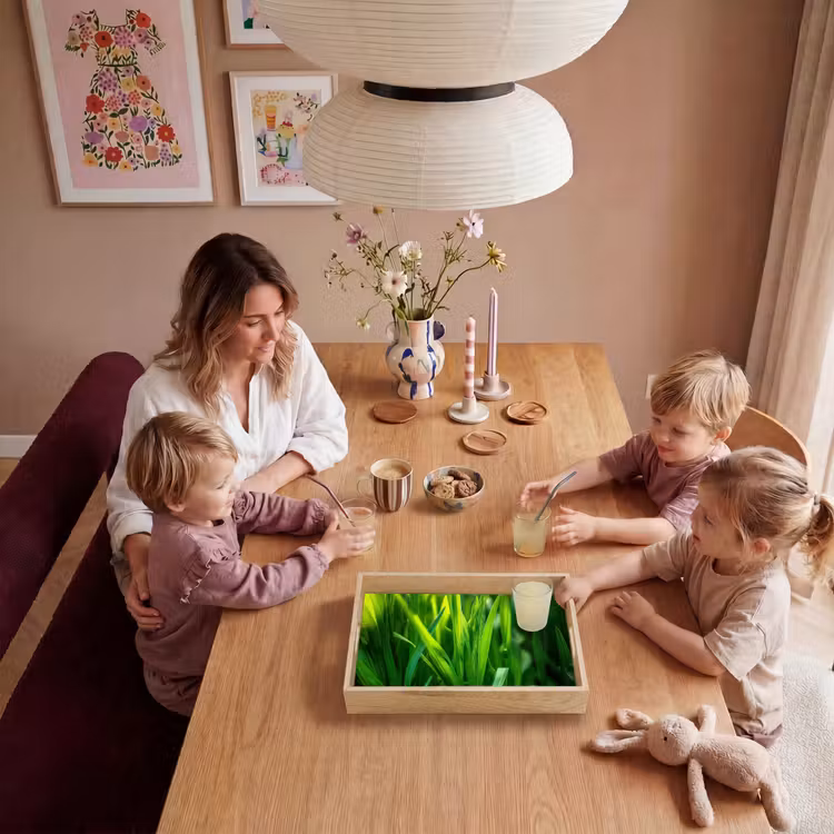 Tray - Grass blades - Light - Green — 5