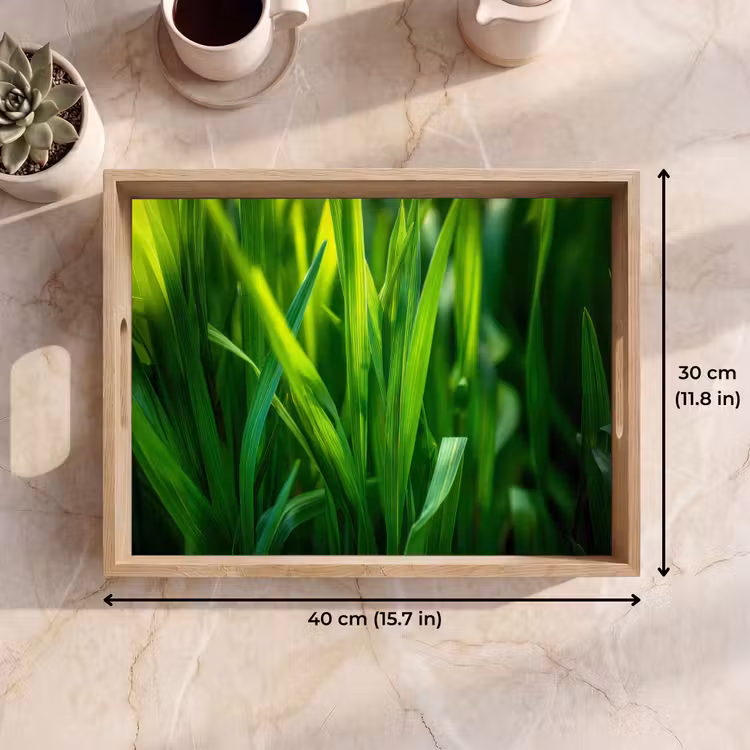 Tray - Grass blades - Light - Green — 7