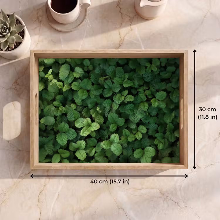 Tray - Green - Leaves - Jagged - Sunlight — 7