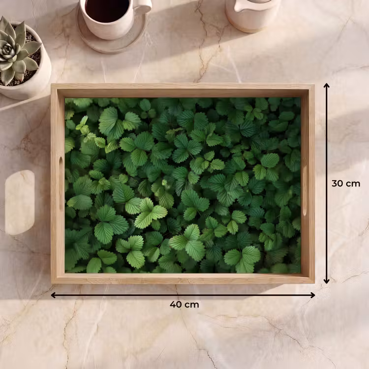 Tray - Green - Leaves - Jagged - Sunlight — 8