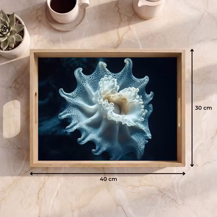 Tray - Sea creature - White - Waves - Water — 8