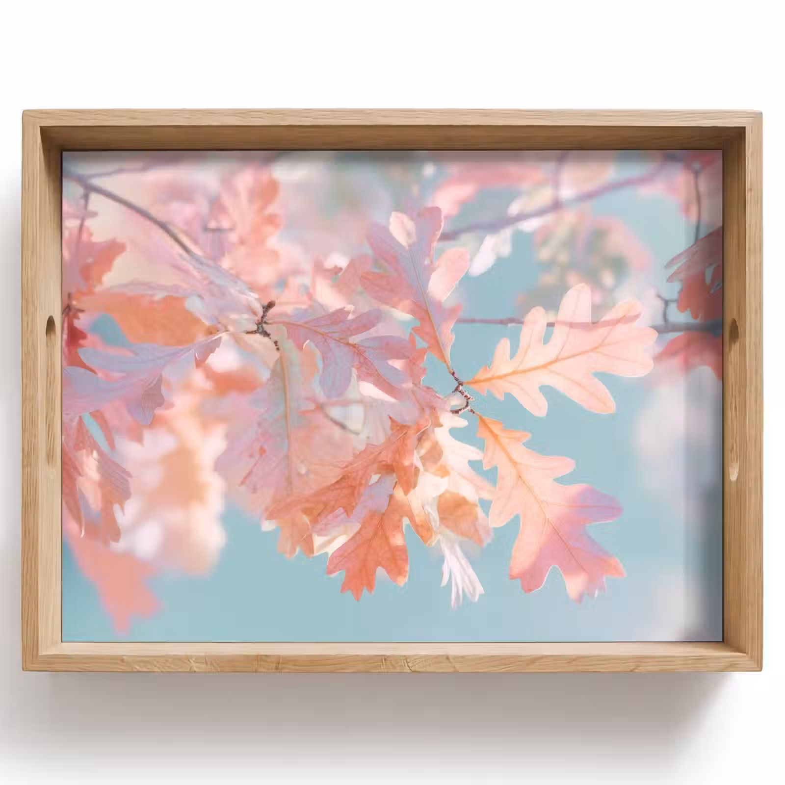 Tray - Oak leaves - Branches - Pink — 1