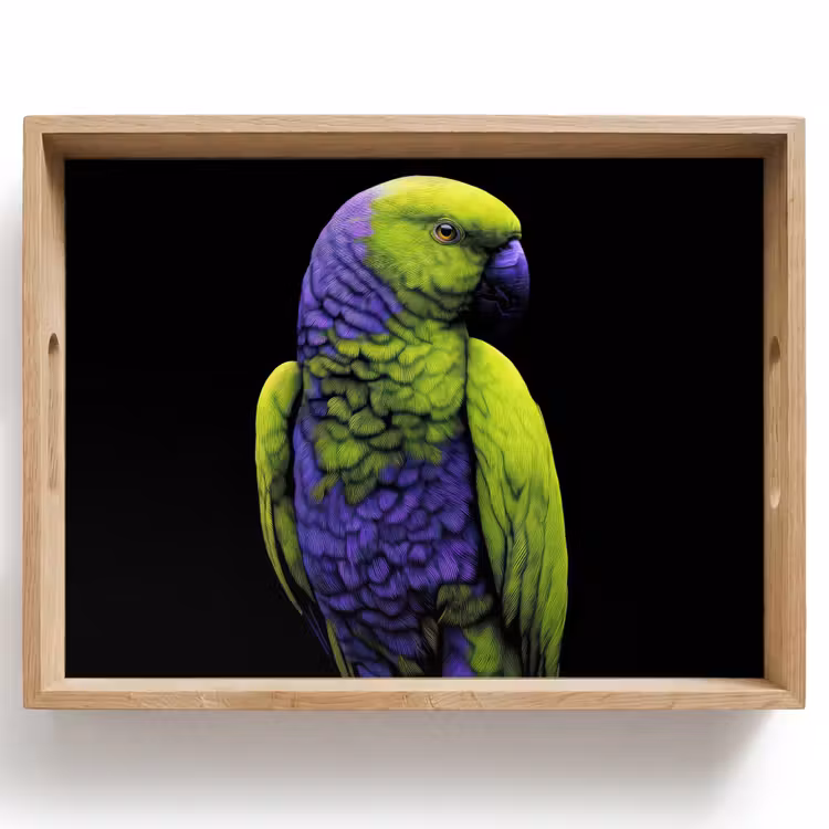 Tray - Parrot - Feathers - Eye-catching - Green — 1