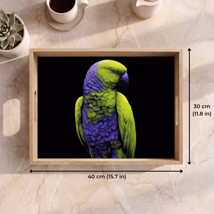 Tray - Parrot - Feathers - Eye-catching - Green — 7
