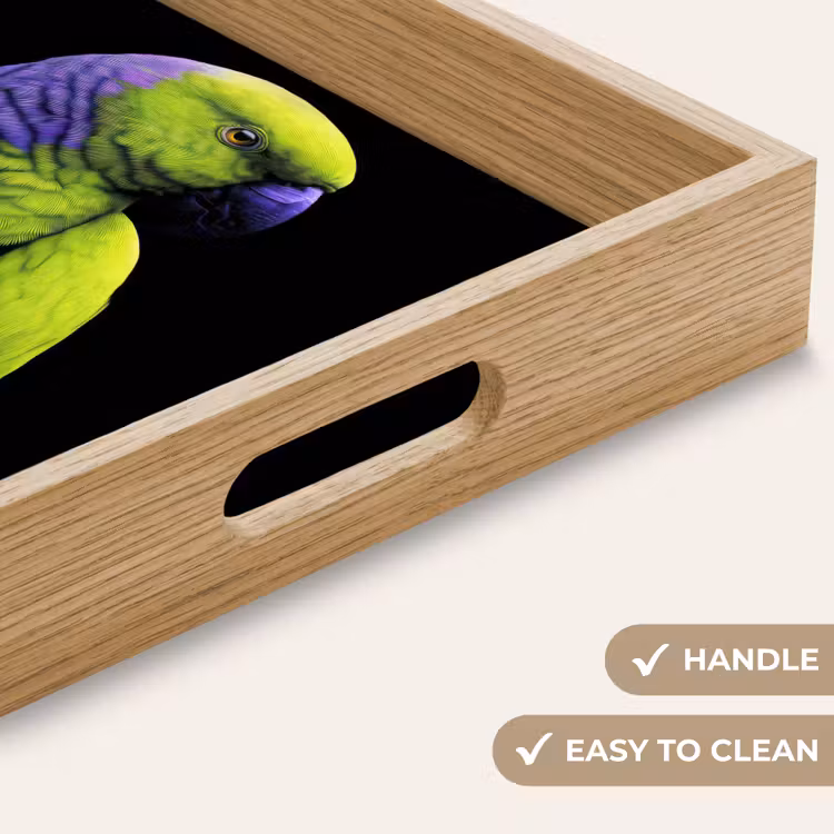 Tray - Parrot - Feathers - Eye-catching - Green — 9