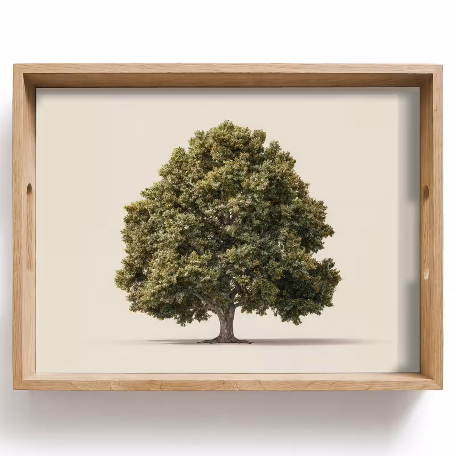 Tray - Oak Tree - Green - Light Background — 1