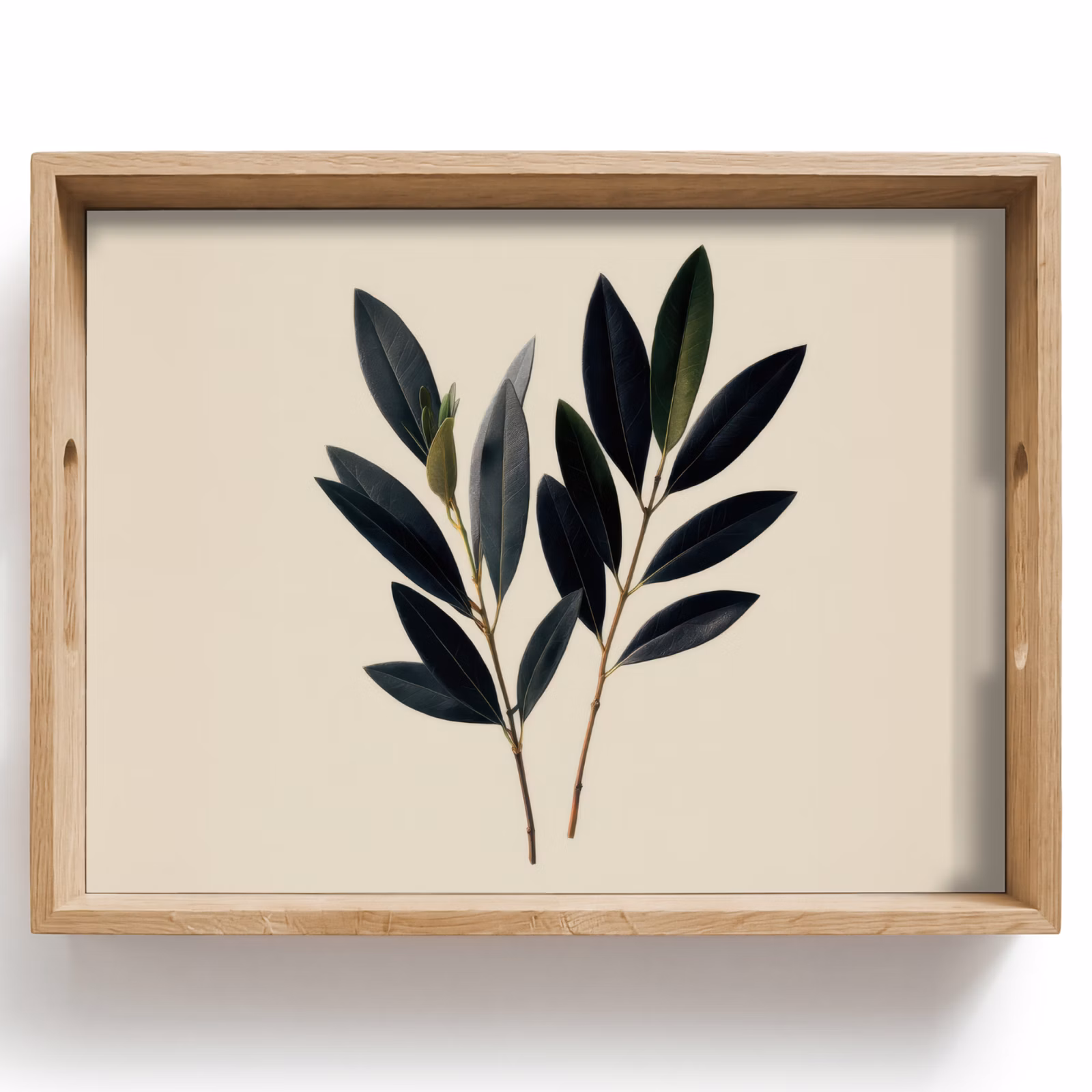 Tray - Oval-shaped leaves - Deep green - Symmetrical — 1
