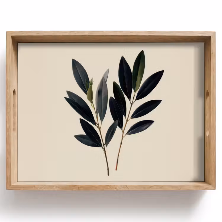 Tray - Oval-shaped leaves - Deep green - Symmetrical — 1