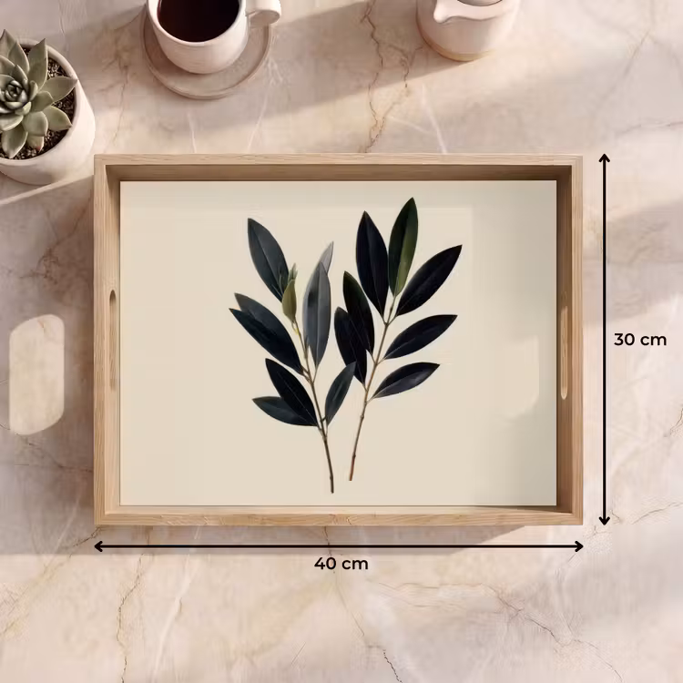 Tray - Oval-shaped leaves - Deep green - Symmetrical — 8