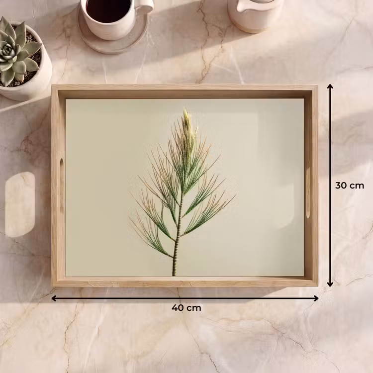 Tray - Pine branch - Needle-shaped leaves - Light green — 8