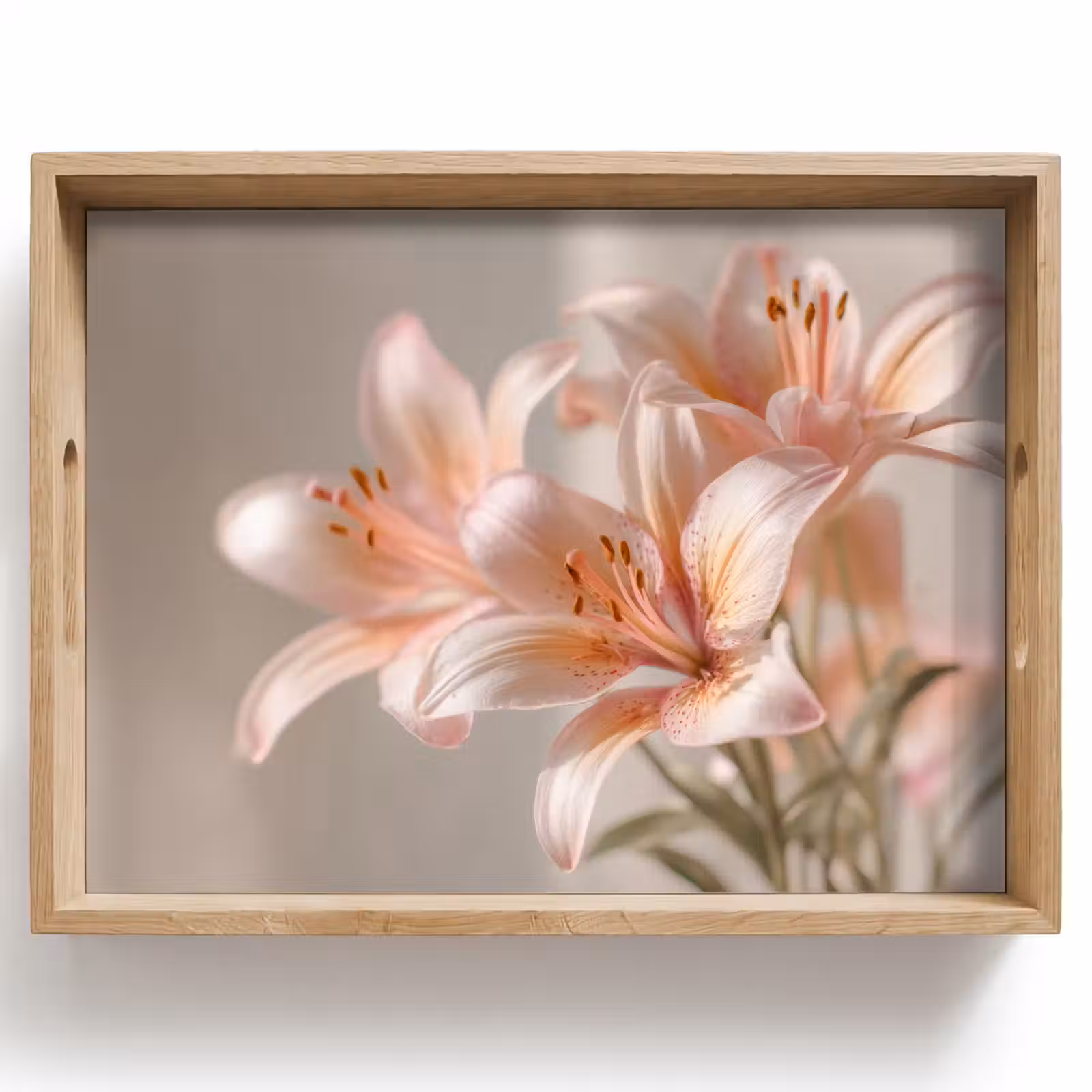 Tray - Lilies - Stamen - Pink - Blurred — 1