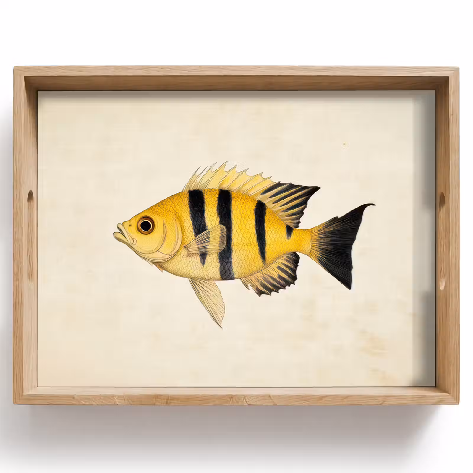 Tray - Yellow - Fish - Stripes - Tropical — 1