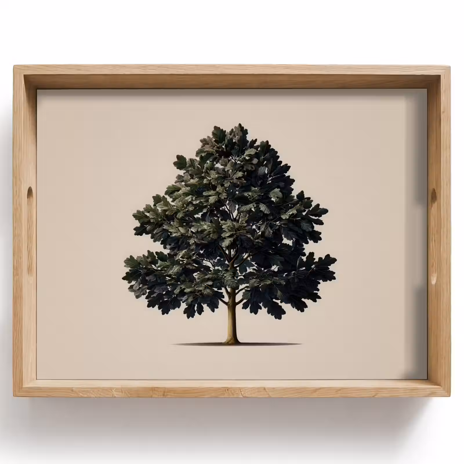 Tray - Oak tree - Shadow - Smooth — 1