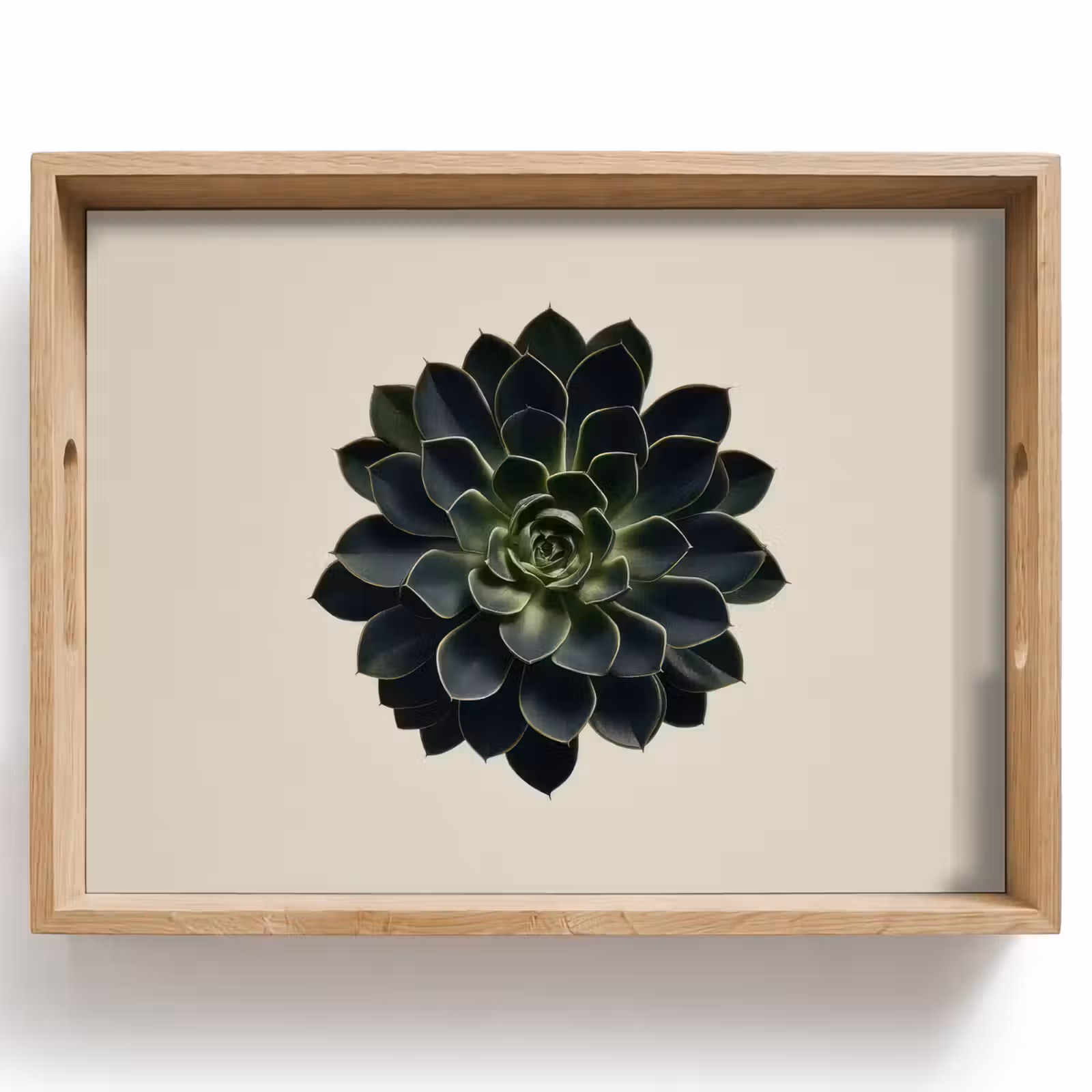 Tray - Rosette - Circular - Dark Green — 1