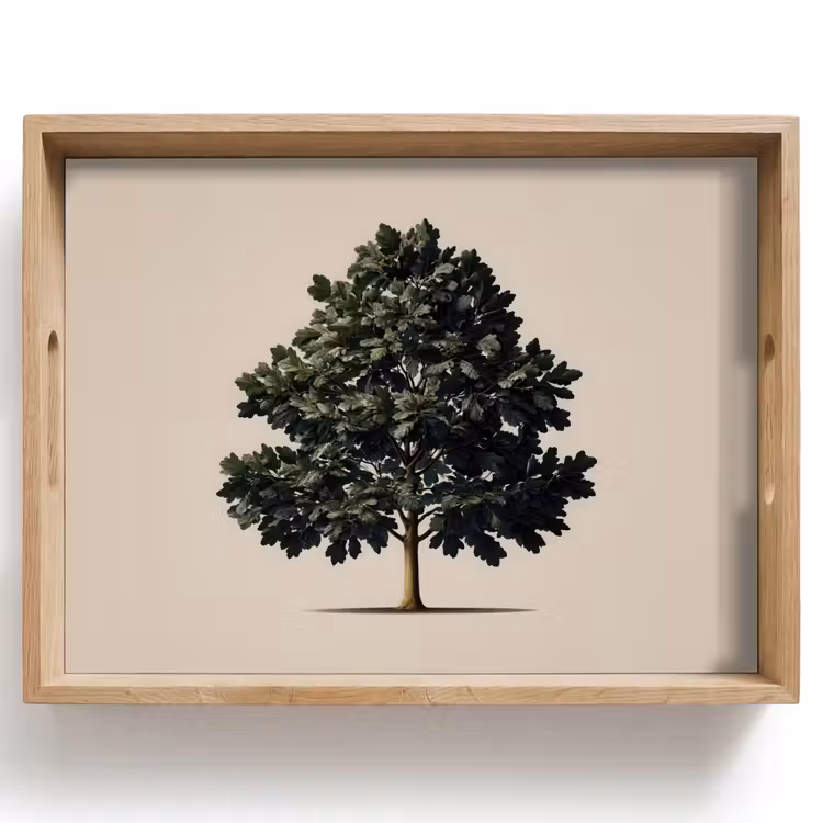 Tray - Oak tree - Shadow - Smooth — 1