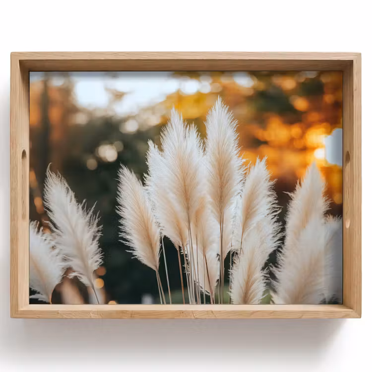 Tray - Pampas grass - Plumes - Ornamental — 1