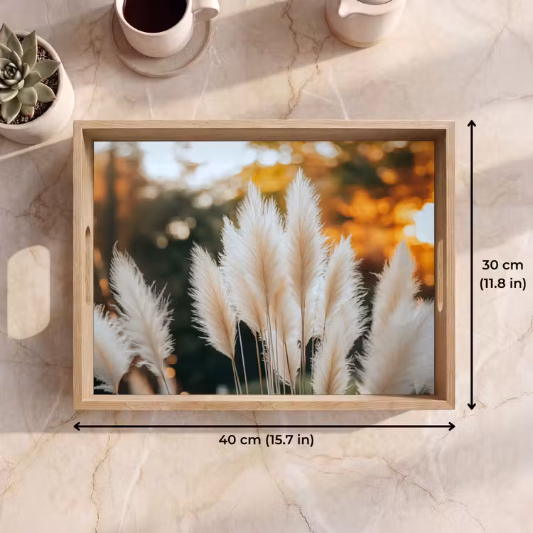 Tray - Pampas grass - Plumes - Ornamental — 7