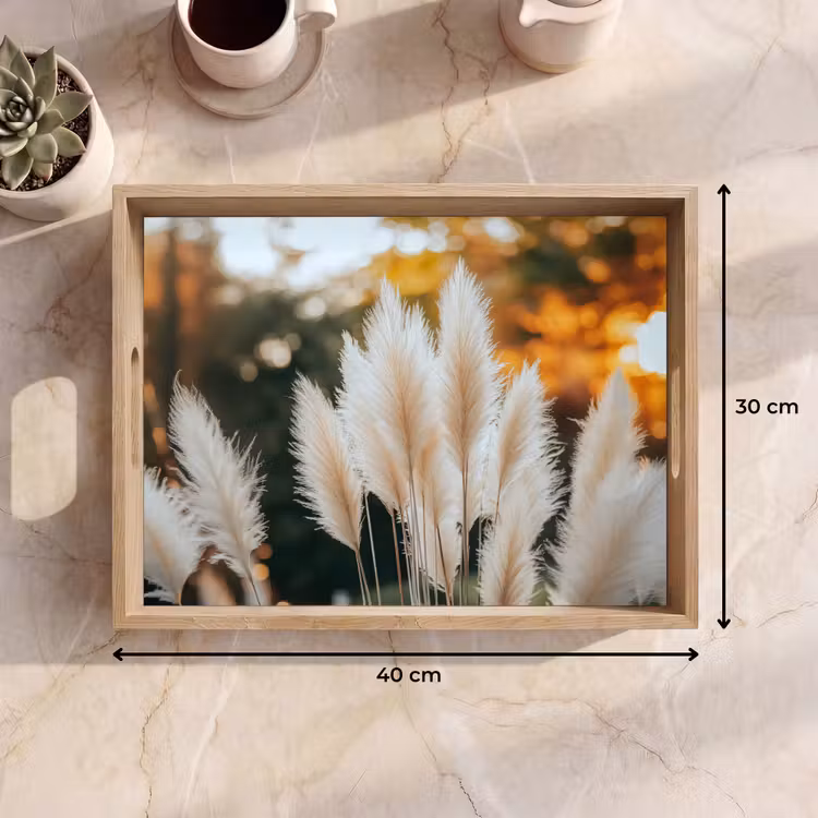 Tray - Pampas grass - Plumes - Ornamental — 8