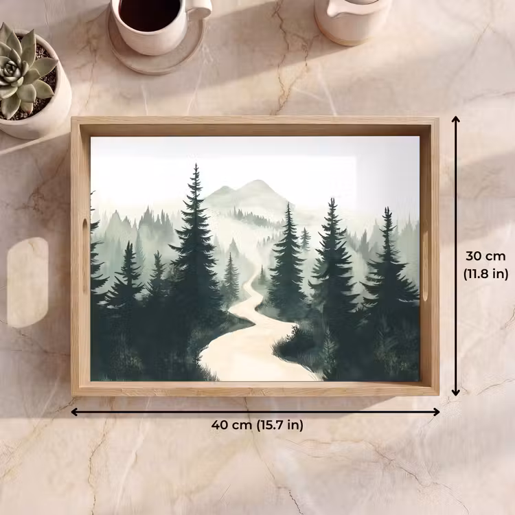 Tray - Path - Trees - Forest - Illustration — 7