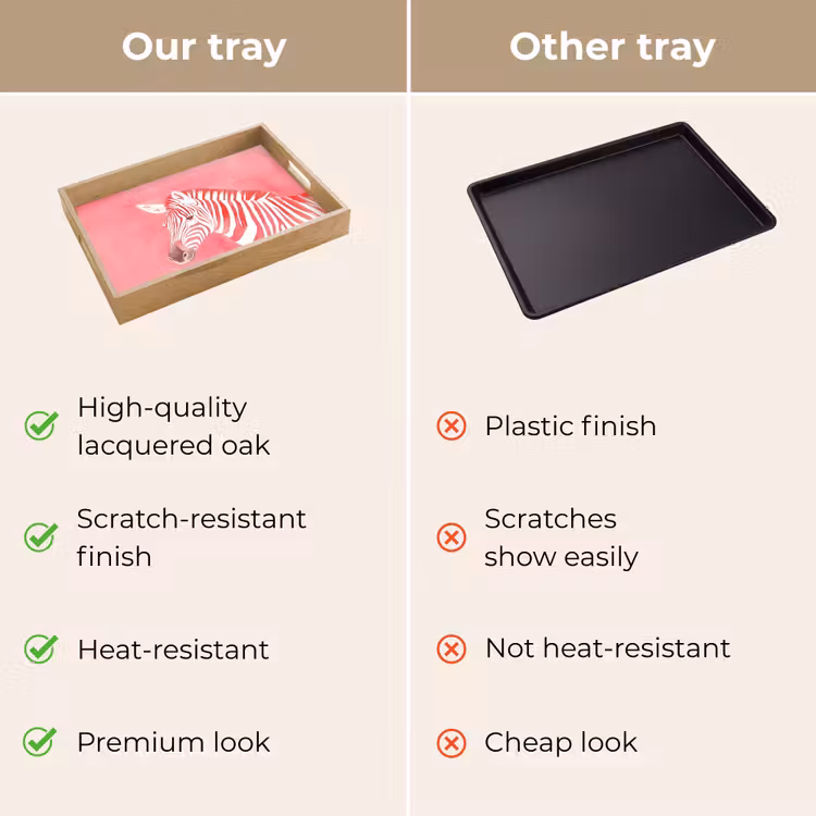 Tray - Zebra - Pink - Paint — 10