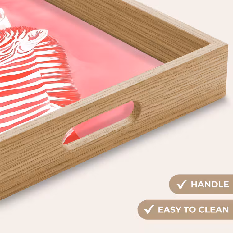 Tray - Zebra - Pink - Paint — 9