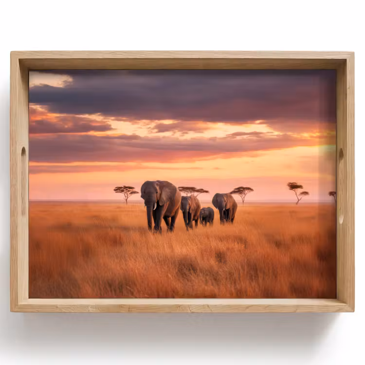 Tray - Group of elephants - Open plain - Sun — 1