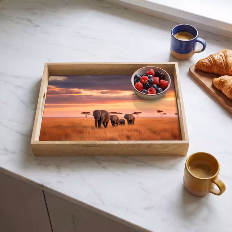 Tray - Group of elephants - Open plain - Sun — 3